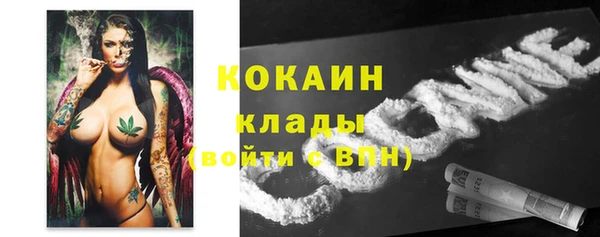 дмт Арсеньев