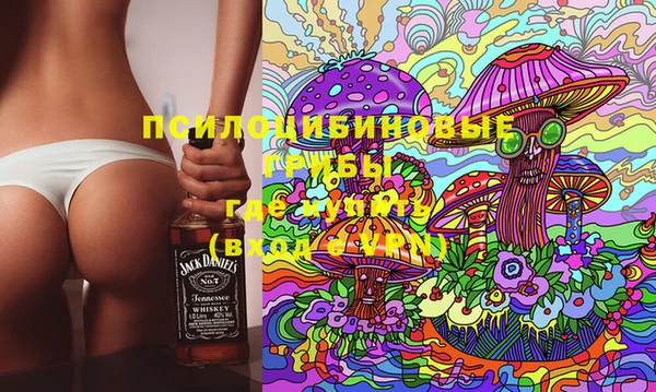 дмт Арсеньев