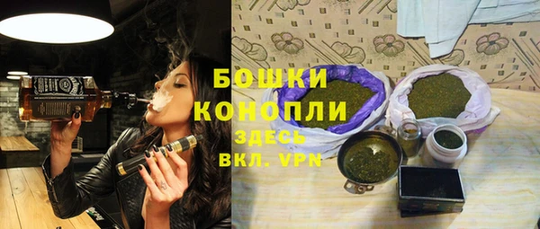 дмт Арсеньев