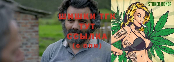 дмт Арсеньев