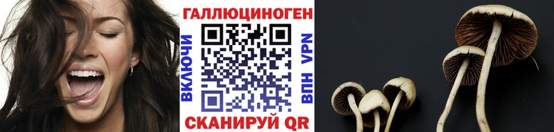 Галлюциногенные грибы Psilocybe  цены наркотик  blacksprut ONION  Старая Русса 